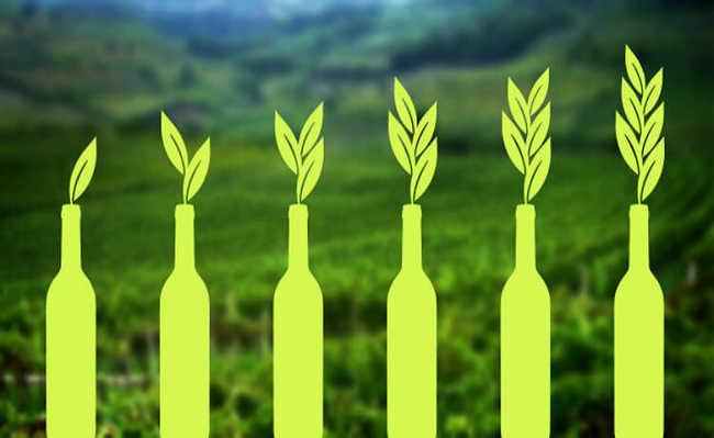 Vinhos Naturais, Orgânicos e Biodinâmicos? 3