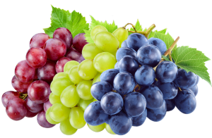 Como se pronunciam as uvas dos vinhos?
