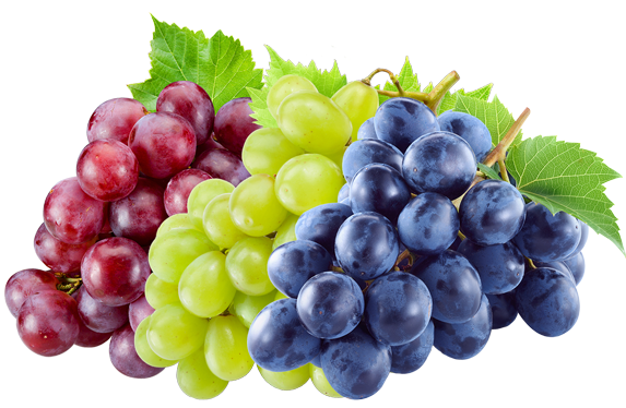 Como se pronunciam as uvas dos vinhos?