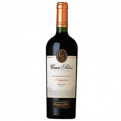 Casa Silva Gran Terroir Angostura Merlot 1