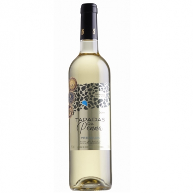 Don Guerino Sinais Sauvignon Blanc 1